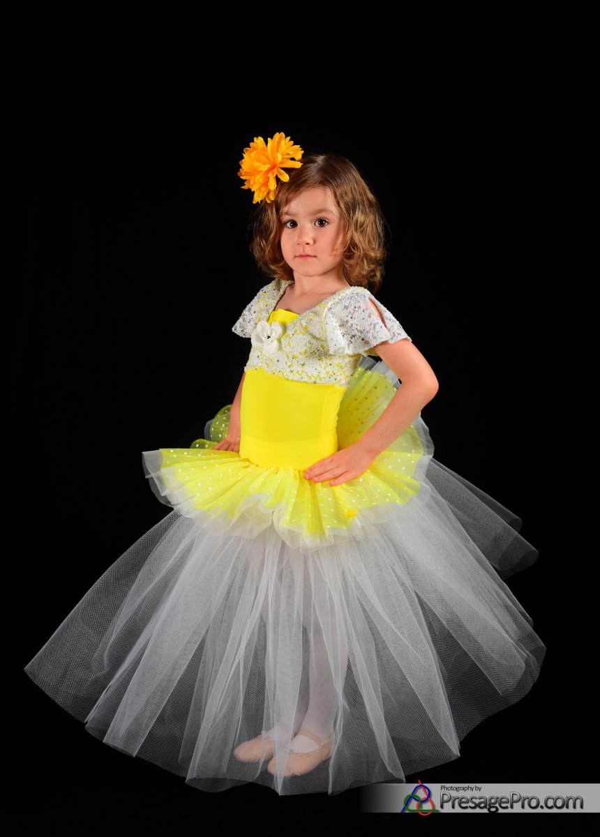 Family portrait photography 